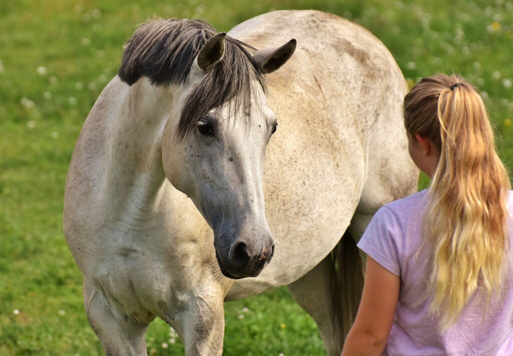 Jízda na koni vyžaduje vzájemnou důvěru koně a jezdce.