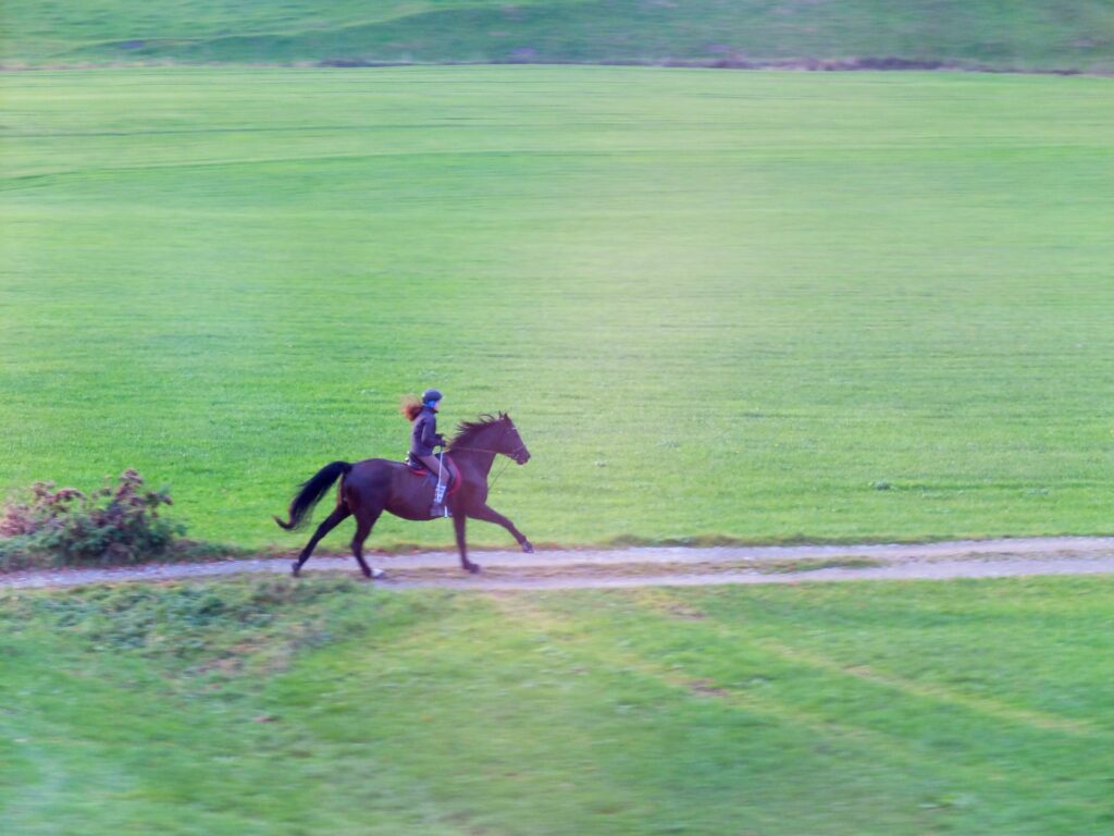 Černý kůň s jezdcem, cválající po cestičce mezi zelenými polemi.