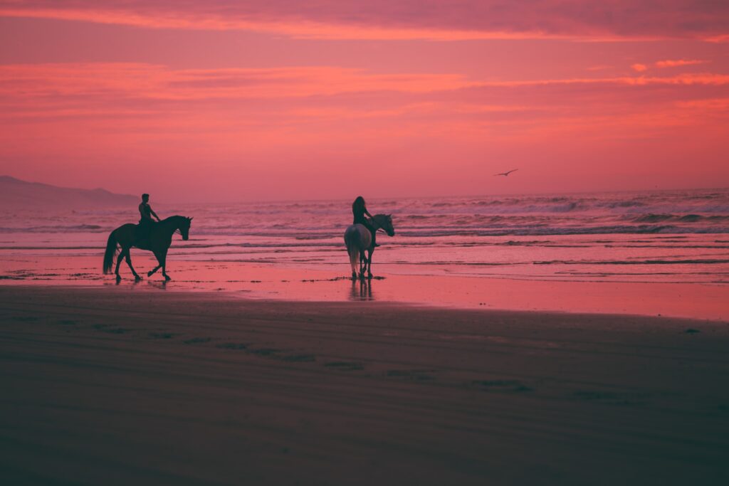 Dva koně (světlý a tmavý) na pláži, v pozadí růžový západ slunce.