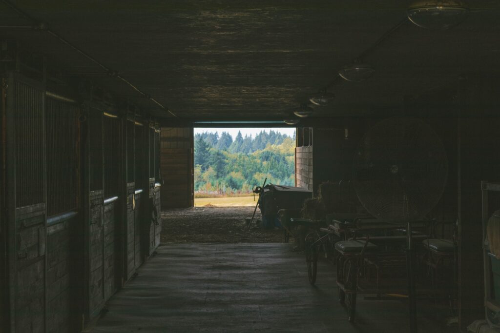 Pohled z jezdecké stáje, po stranách koňské boxy a vzadu les.