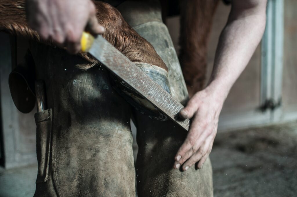 Kovář piluje koňské kopyto, opřené o svou nohu.