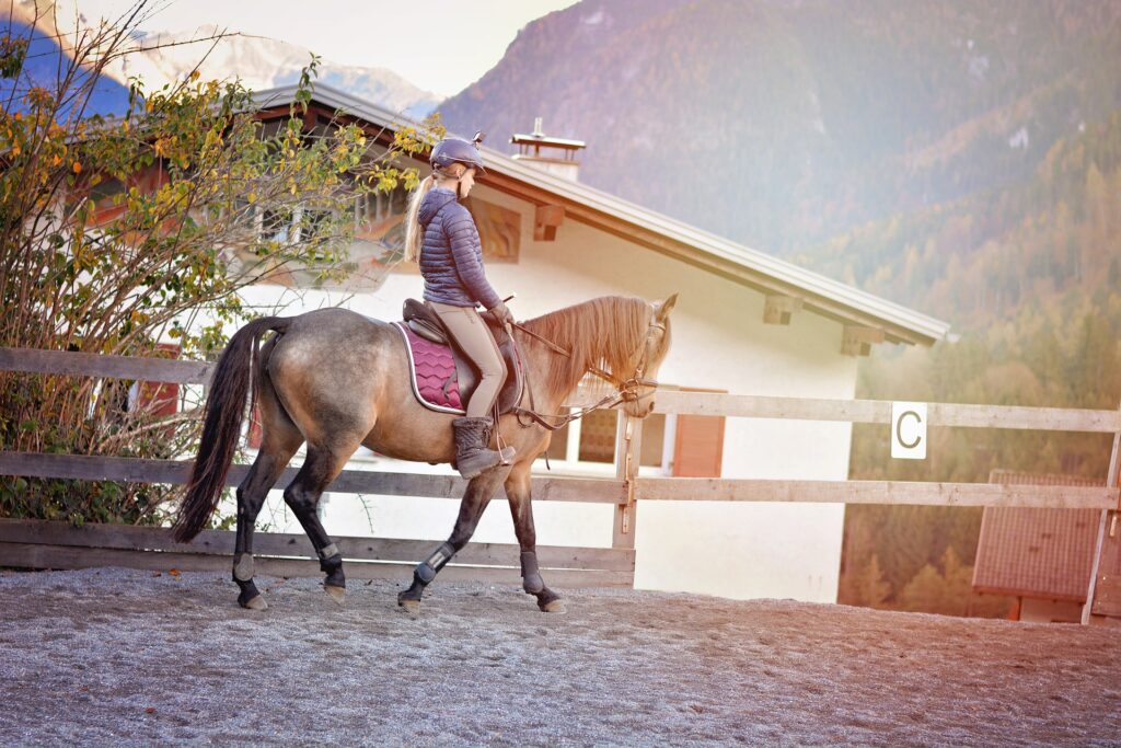 Jezdkyně na jízdárně na hnědém koni, v pozadí hory a bílá hala.