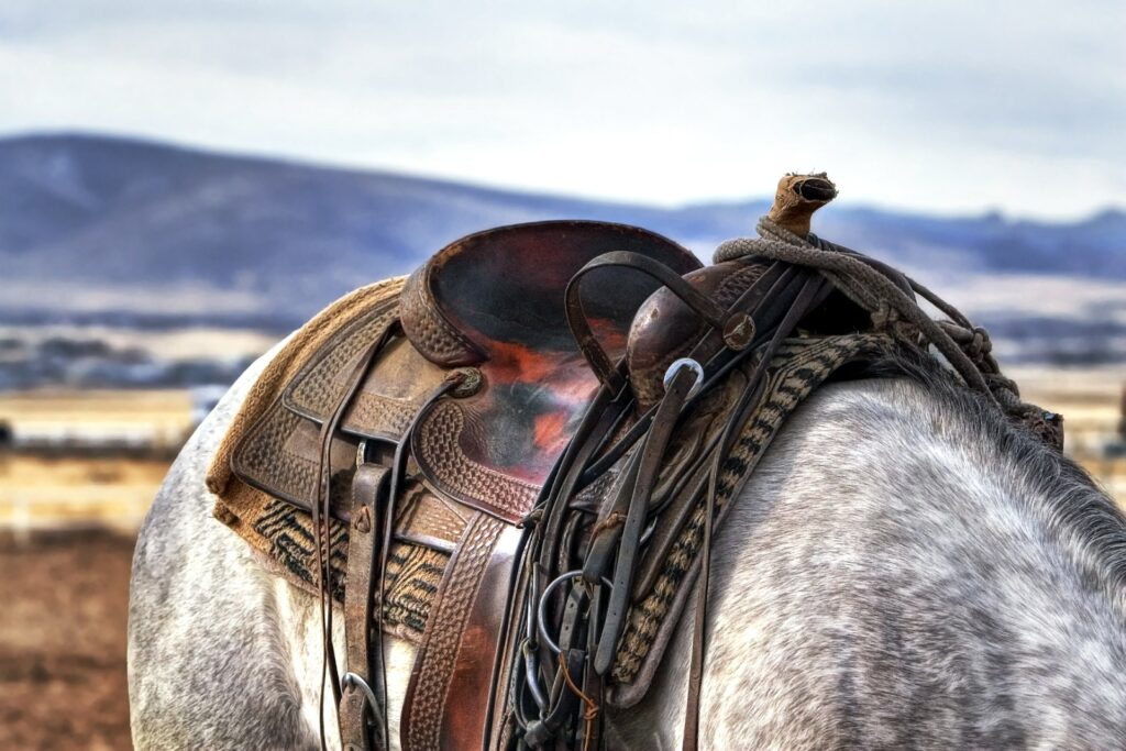 Pohled na westernové sedlo na strakatém koni, v pozadí hory.
