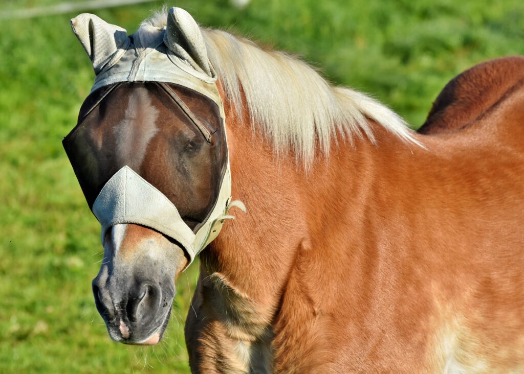 Hnědý kůň se zlatou hřívou s maskou šedé barvy a s průhlednou síťovinou v oblasti očí.