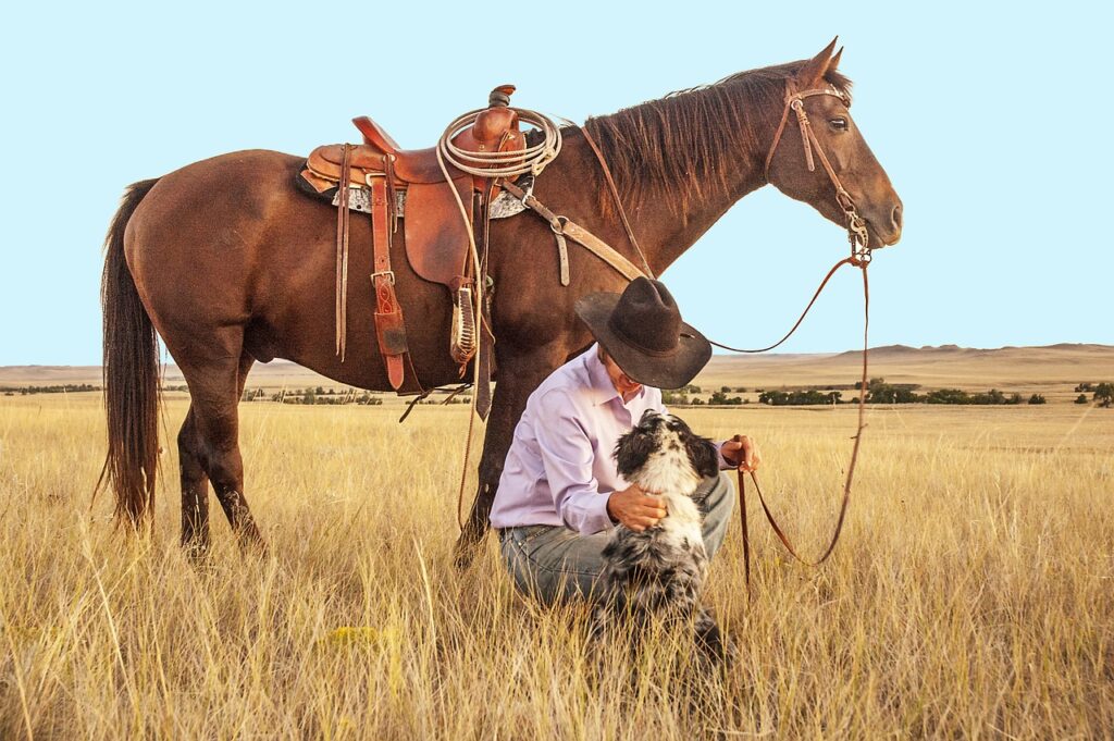 kůň s westernovým sedlem i užděním, v popředí pán s kloboukem a pes