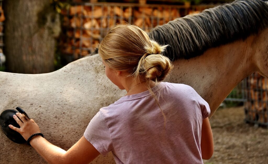 dívka čistí bílého koně hřbílkem