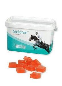 Želé kloubní výživa pro koně Geloren