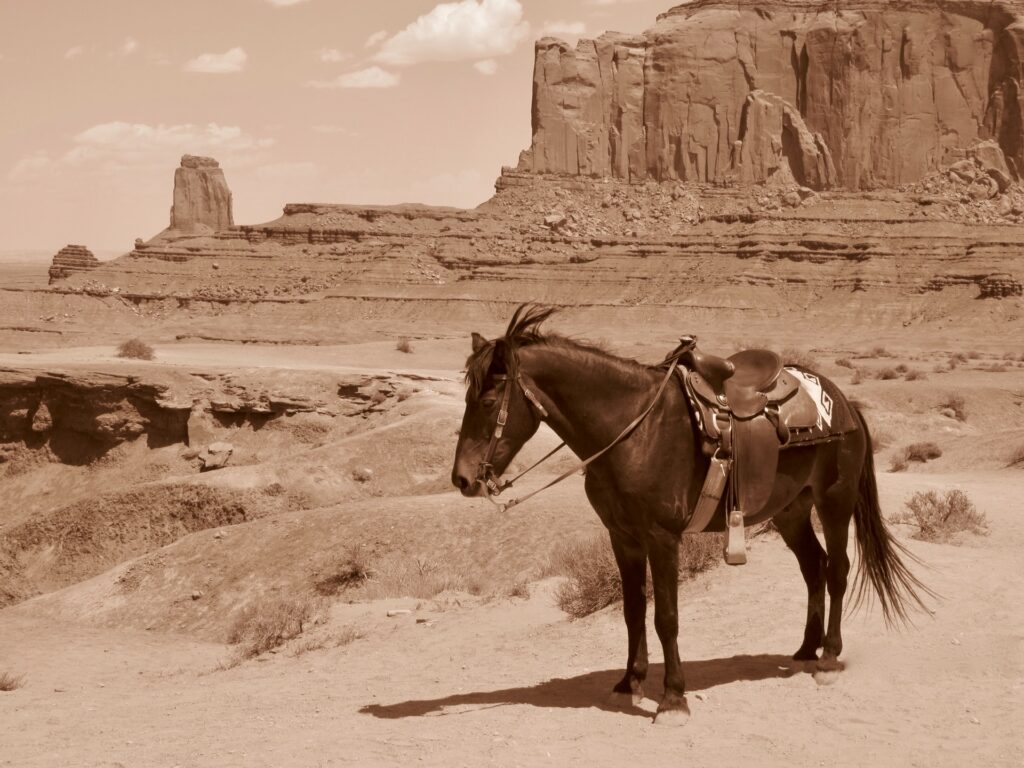 kůň s westernovým sedlem, v pozadí skály